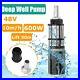 Deep_Well_Pump_Water_Solar_Submersible_48V_60V_Power_Irrigation_Stainless_Steel_01_xxjg