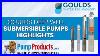 Goulds_Deep_Well_Submersible_Pumps_Product_Highlight_01_al