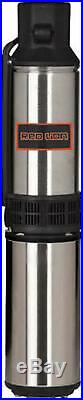 Red Lion RL12G07-3W2V 14942406 Submersible Deep Well Pump with Control Box