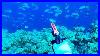 Spearfishing_Warning_This_Could_Happen_To_Anyone_01_or