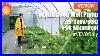 Vevor_Deep_Well_Submersible_Pump_2hp_230v_60hz_Irrigation_And_Home_Use_01_if